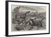 Death of a Red Forester or Old Man Kangaroo-Harrison William Weir-Framed Giclee Print