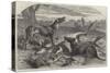 Death of a Red Forester or Old Man Kangaroo-Harrison William Weir-Stretched Canvas