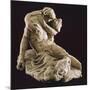 Death of Adonis-Antonio Canova-Mounted Giclee Print