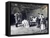 Death of Anita Garibaldi on Farm of Marquis Guiccioli-Jessie White Mario-Framed Stretched Canvas