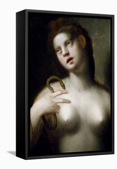 Death of Cleopatra-Domenico Puligo-Framed Stretched Canvas