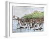 Death of Magellan on the Island of Mactan, Philippines-null-Framed Giclee Print