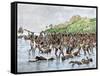 Death of Magellan on the Island of Mactan, Philippines-null-Framed Stretched Canvas