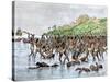 Death of Magellan on the Island of Mactan, Philippines-null-Stretched Canvas