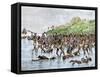 Death of Magellan on the Island of Mactan, Philippines-null-Framed Stretched Canvas