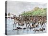 Death of Magellan on the Island of Mactan, Philippines-null-Stretched Canvas