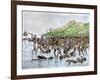 Death of Magellan on the Island of Mactan, Philippines-null-Framed Giclee Print