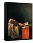Death of Marat-Jacques-Louis David-Framed Stretched Canvas