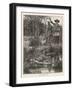 Death of Metacomet (King Philip) Chief of the Wampanoag Indians During King Philip's War 1675-1676-Howard Pyle-Framed Art Print