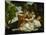 Death of Procris-Paolo Veronese-Mounted Giclee Print