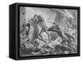 Canvas Black