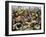 Death of Spartacus, a Slave Who Led a Gladiators' Revolt in Ancient Rome in 71 Bc-null-Framed Giclee Print