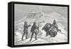 Death of the Musk Ox, Pub. London 1874-null-Framed Stretched Canvas