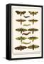 Death's Head Hawkmoth, Occult Sphinx, Guady Spinx Moth, Caterpillar-Albertus Seba-Framed Stretched Canvas