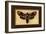Death's Head Moth-Lantern Press-Framed Art Print
