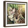 Death Valley Beauty-Carolyn Schmitz-Framed Art Print