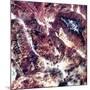 Death Valley, California, USA, 1982-1993-null-Mounted Photographic Print