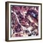 Death Valley, California, USA, 1982-1993-null-Framed Photographic Print