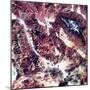 Death Valley, California, USA, 1982-1993-null-Mounted Photographic Print