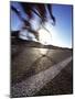 Death Valley, California, USA-null-Mounted Photographic Print