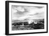 Death Valley, California - View of a Twenty Mule Borax Team-Lantern Press-Framed Art Print