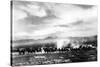 Death Valley, California - View of a Twenty Mule Borax Team-Lantern Press-Stretched Canvas