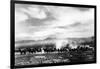 Death Valley, California - View of a Twenty Mule Borax Team-Lantern Press-Framed Art Print