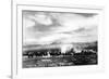 Death Valley, California - View of a Twenty Mule Borax Team-Lantern Press-Framed Premium Giclee Print