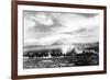 Death Valley, California - View of a Twenty Mule Borax Team-Lantern Press-Framed Premium Giclee Print