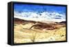 Death Valley California-Philippe Hugonnard-Framed Stretched Canvas