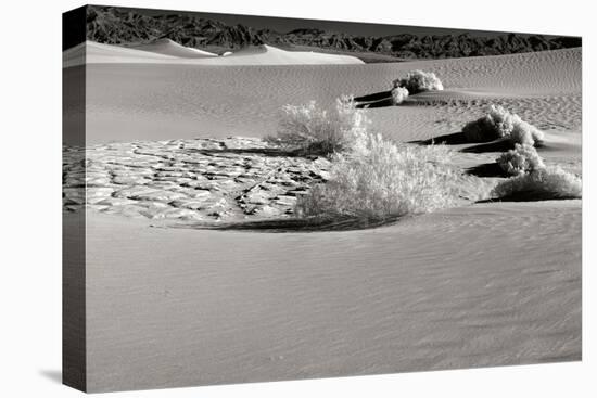 Death Valley Dunes I-George Johnson-Stretched Canvas