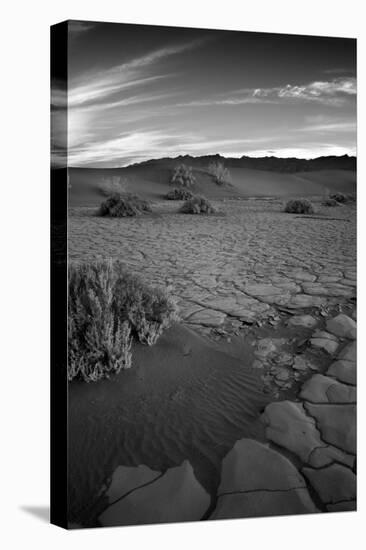 Death Valley Dunes II-George Johnson-Stretched Canvas