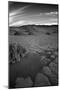 Death Valley Dunes II-George Johnson-Mounted Photographic Print