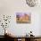 Death Valley from Zabriskie Point-Jim Zuckerman-Stretched Canvas displayed on a wall