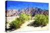 Death Valley II-Philippe Hugonnard-Stretched Canvas