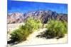 Death Valley II-Philippe Hugonnard-Mounted Giclee Print