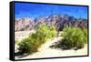 Death Valley II-Philippe Hugonnard-Framed Stretched Canvas