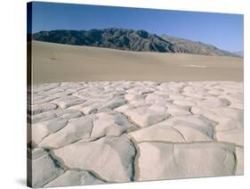 Death Valley in California-Theo Allofs-Stretched Canvas