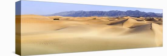 Death Valley. Landscape of Mesquite Flats Sand Dunes.-Janet Muir-Stretched Canvas