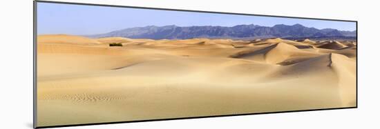 Death Valley. Landscape of Mesquite Flats Sand Dunes.-Janet Muir-Mounted Photographic Print