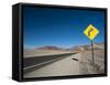 Death Valley National Park, California, United States of America, North America-Sergio Pitamitz-Framed Stretched Canvas