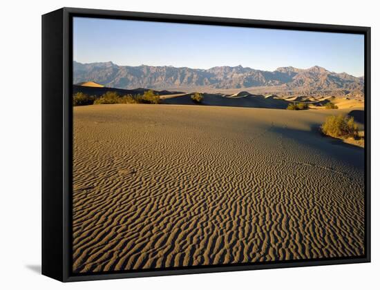 Death Valley National Park-James Randklev-Framed Stretched Canvas