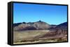 Death Valley National Park-Friday-Framed Stretched Canvas