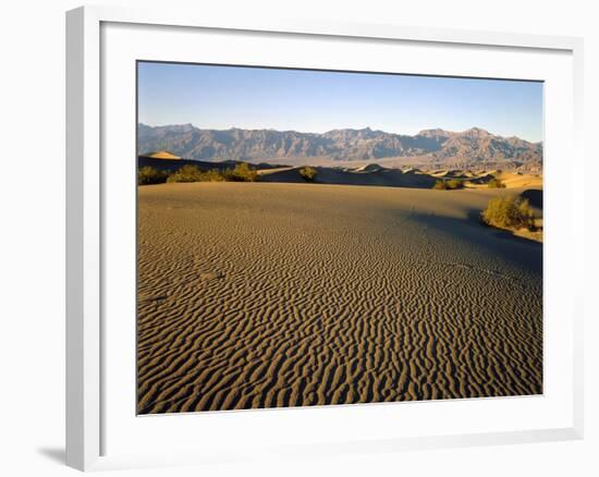 Death Valley National Park-James Randklev-Framed Photographic Print