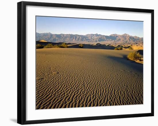 Death Valley National Park-James Randklev-Framed Photographic Print