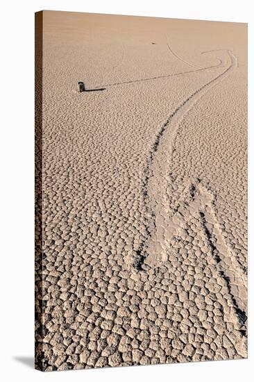Death Valley Racetrack California-Steve Gadomski-Stretched Canvas