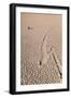 Death Valley Racetrack California-Steve Gadomski-Framed Photographic Print