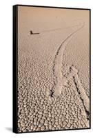 Death Valley Racetrack California-Steve Gadomski-Framed Stretched Canvas