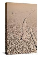 Death Valley Racetrack California-Steve Gadomski-Stretched Canvas