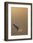 Death Valley's Moving Rocks-Corepics-Framed Photographic Print